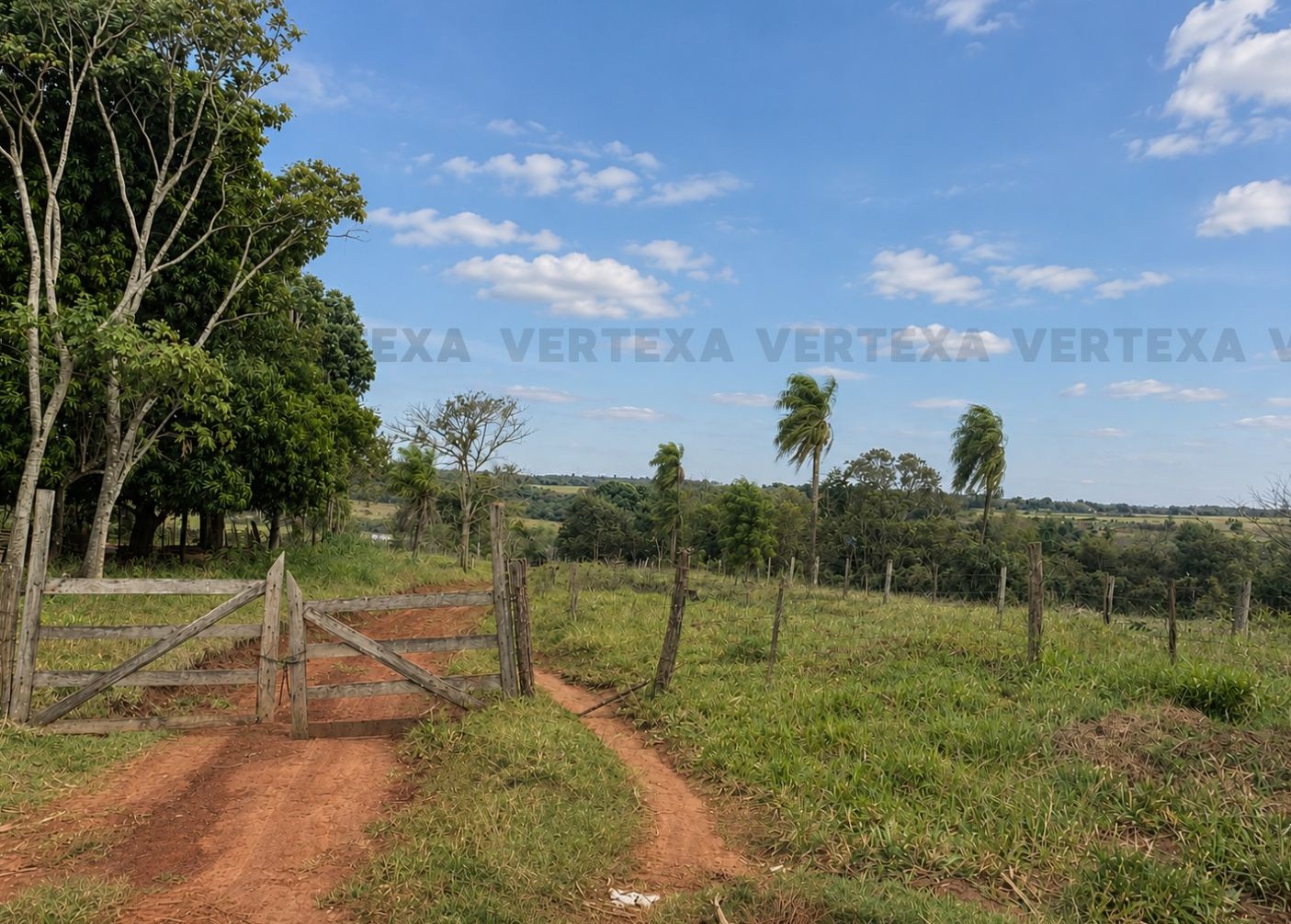 5,8 hectáreas en Minga Guazú con costa sobre el río Monday | Ideal para inversión o producción agropecuaria